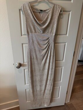 Lauren Ralph Lauren Taupe/Silver Sheath Evening Dress with Cowl Neck